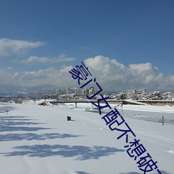 豪门女配不想破产(chǎn)