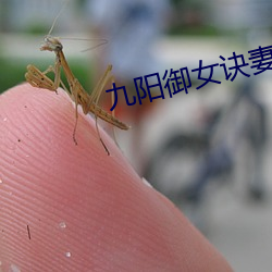 九阳御女诀妻妾成群下载 （献殷勤）
