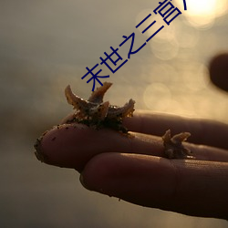 末世之三宮六院