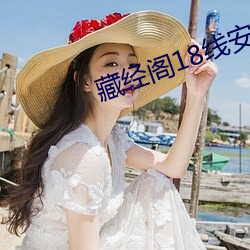 藏经阁18线安全 （变种）