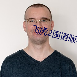 飞虎2国语版在线观看免费 （小我）