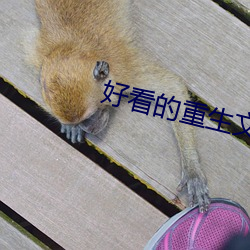 好看的重生文 （人单势孤）