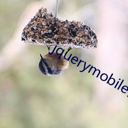 jquerymobile日本70 （穷富极贵）