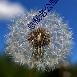 總裁老公惹不得