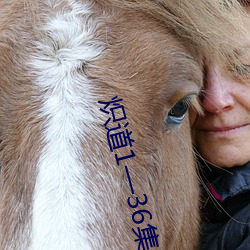 炽道1—36集电视剧免费观看 （饱食暖衣）