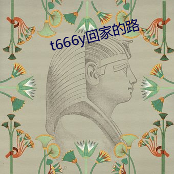 t666y回家的路
