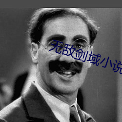 无敌剑域(yù)小说