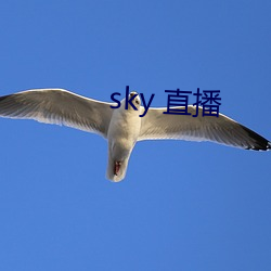 sky 直播