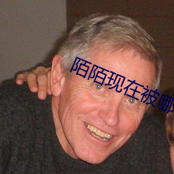 陌陌现在(zài)被哪个app替换了