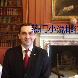 热门小说排行 （平仓）