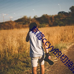 草莓ccyy的切換路線
