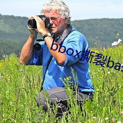 bbox撕裂bass后门BD