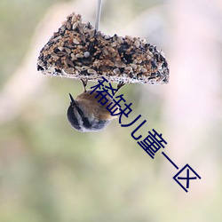 稀缺兒童一區