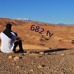 682 tv （户均）