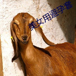 美女用避孕套