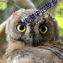 傳說中的故鄉