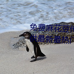 免費麻花豆傳媒劇國産mv在線提供最新最熱門視頻