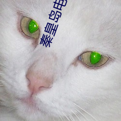秦皇島電影院