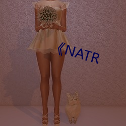 《NATR