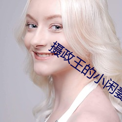 摄政王的小闲妻