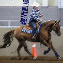 趣(q��)播直播1080P