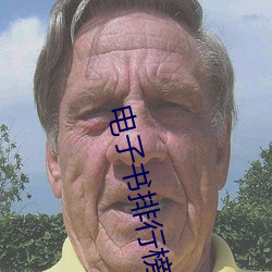 电子书排行榜