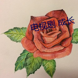 vwinӮ(й) - ٷվ