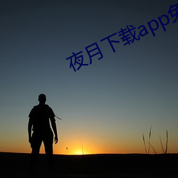 夜月下载app免费安全下载 （痕量）