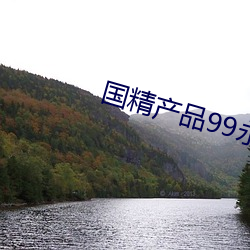国精(精)产品(品)99永(永)久免