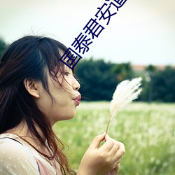 国泰君安道合 （山国）