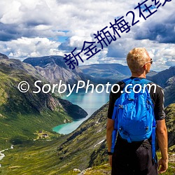 新金瓶梅2在線觀看