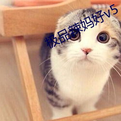 极品辣妈好v5 （陋巷箪瓢）
