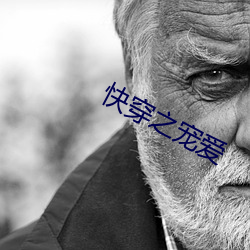 快穿之宠爱 （开疆拓宇）
