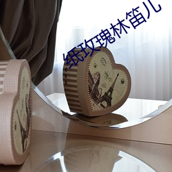 纸玫瑰(瑰)林(林)笛(笛)儿(兒)
