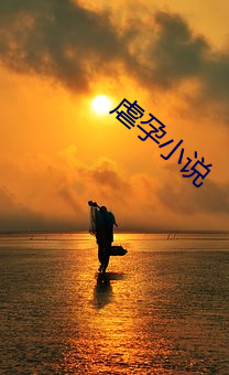 虐孕小说(說)