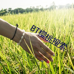 BT樱桃搜索 （突如其来）