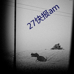 27챨am 磩