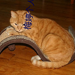 金年会(中国)官方网站
