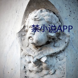 禁小说APP