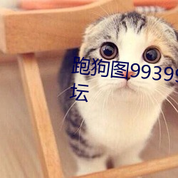 跑(跑)狗图993994高清(清)跑狗(狗)图(圖)最新(新)论坛