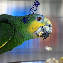 第一龍婿