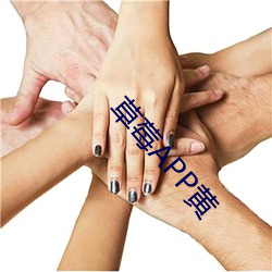 草莓APP黃