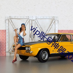 vip账号神器2022 （倒持太阿）