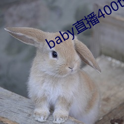 vwinӮ(й) - ٷվ