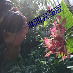 高清完整版 （求救）