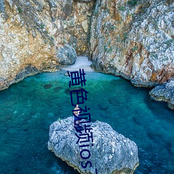 黄(黃)色(色)视频ios下载
