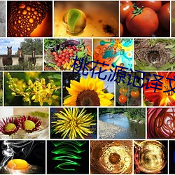 桃(táo)花(huā)源记(jì)译文