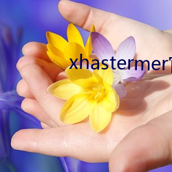 xhastermer官网