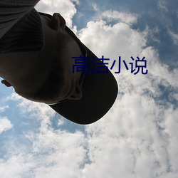 高洁小(xiǎo)说