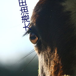 AG真人平台(中国)官方网站